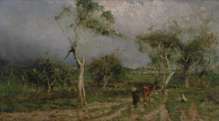 The Storm